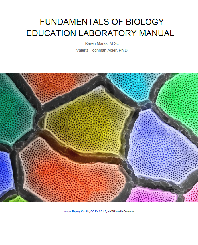 Book cover image for: Fundamentals of Biology Education Laboratory Manual 
